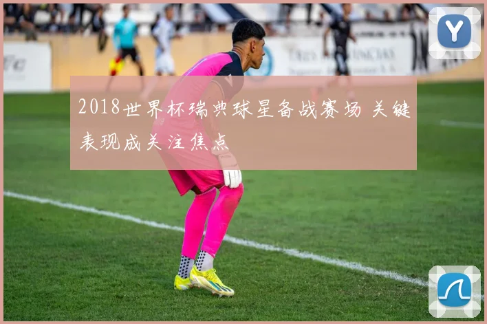 2018世界杯瑞典球星备战赛场 关键表现成关注焦点