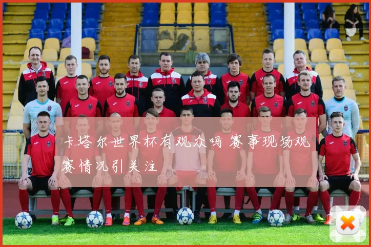 卡塔尔世界杯有观众吗 赛事现场观赛情况引关注