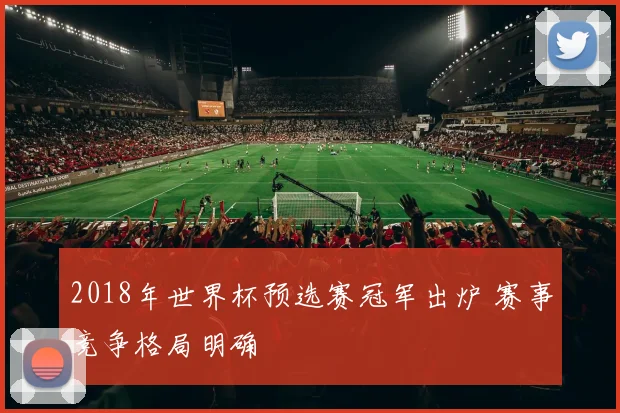 2018年世界杯预选赛冠军出炉 赛事竞争格局明确